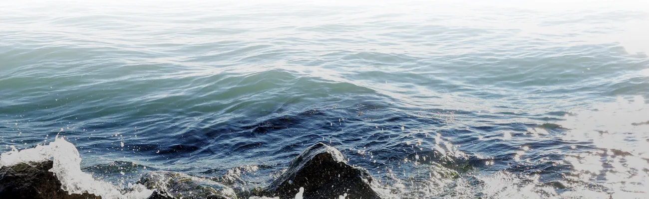 Descriptive image about index.html